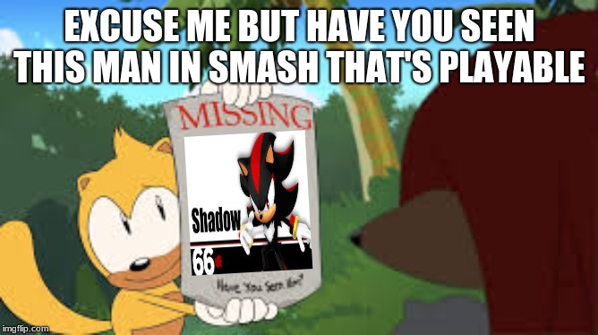 shadow for smash? | EXCUSE ME BUT HAVE YOU SEEN THIS MAN IN SMASH THAT'S PLAYABLE | image tagged in sonic the hedgehog | made w/ Imgflip meme maker