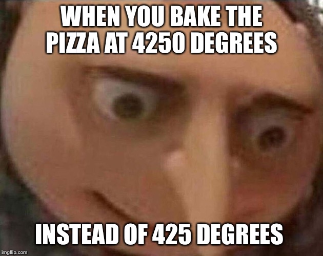 gru meme | WHEN YOU BAKE THE PIZZA AT 4250 DEGREES; INSTEAD OF 425 DEGREES | image tagged in gru meme | made w/ Imgflip meme maker