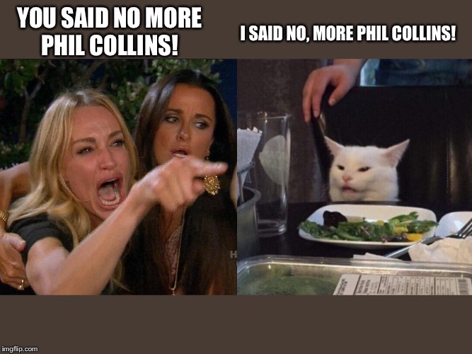  I SAID NO, MORE PHIL COLLINS! YOU SAID NO MORE
PHIL COLLINS! | image tagged in phil,collins,phil collins | made w/ Imgflip meme maker