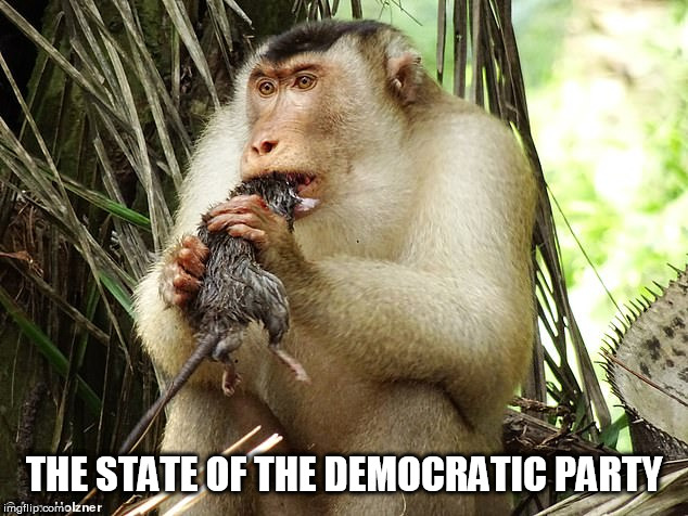 monkey | THE STATE OF THE DEMOCRATIC PARTY | image tagged in monkey | made w/ Imgflip meme maker