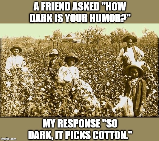 That's Some Dark Humor | A FRIEND ASKED "HOW DARK IS YOUR HUMOR?"; MY RESPONSE "SO DARK, IT PICKS COTTON." | image tagged in cotton slaves | made w/ Imgflip meme maker
