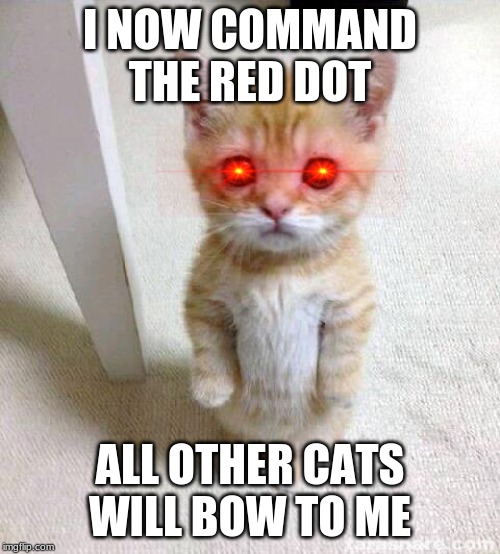 You can tell because of the eyes. | I NOW COMMAND THE RED DOT; ALL OTHER CATS WILL BOW TO ME | image tagged in memes,cute cat | made w/ Imgflip meme maker