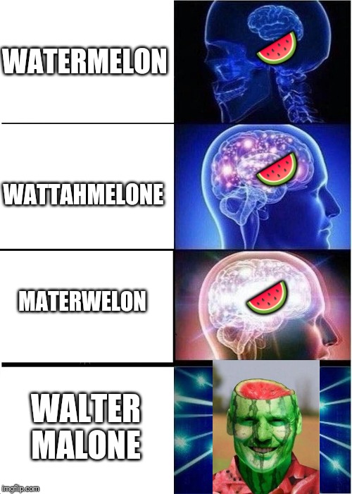Expanding Brain Meme | WATERMELON; 🍉; 🍉; WATTAHMELONE; 🍉; MATERWELON; WALTER MALONE | image tagged in memes,expanding brain | made w/ Imgflip meme maker