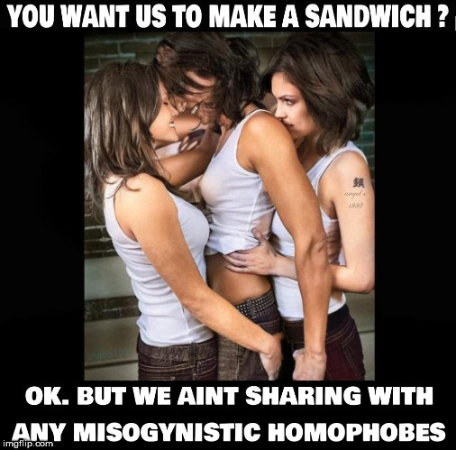 image tagged in lesbians,lgbtq,make me a sandwich,sandwich,threesome,misogyny | made w/ Imgflip meme maker