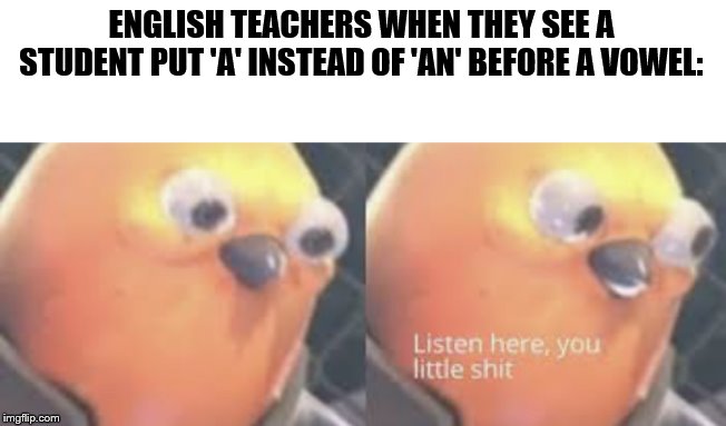 Listen here you little shit bird | ENGLISH TEACHERS WHEN THEY SEE A STUDENT PUT 'A' INSTEAD OF 'AN' BEFORE A VOWEL: | image tagged in listen here you little shit bird | made w/ Imgflip meme maker