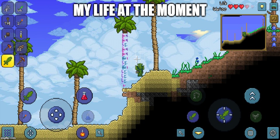 MY LIFE AT THE MOMENT | image tagged in terraria | made w/ Imgflip meme maker