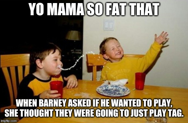 Yo Mamas So Fat Meme | YO MAMA SO FAT THAT; WHEN BARNEY ASKED IF HE WANTED TO PLAY, SHE THOUGHT THEY WERE GOING TO JUST PLAY TAG. | image tagged in memes,yo mamas so fat | made w/ Imgflip meme maker