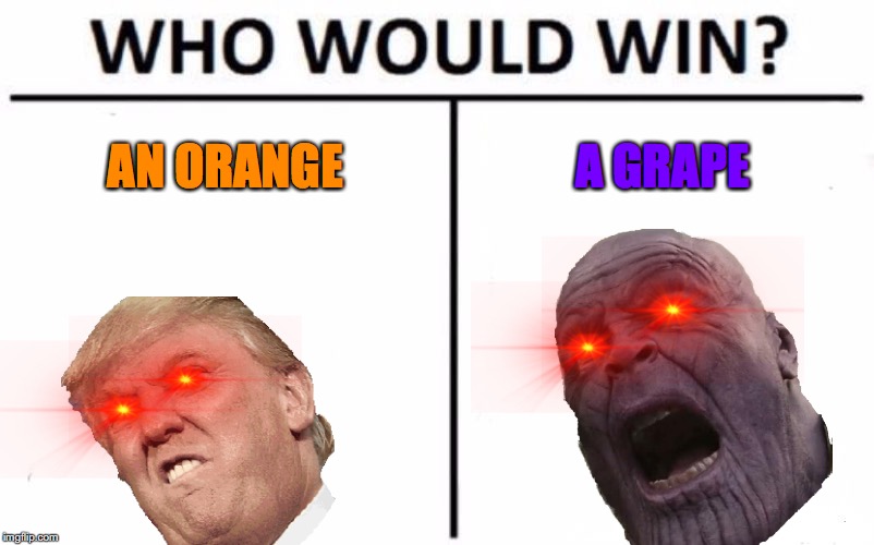 Who Would Win? Meme | AN ORANGE; A GRAPE | image tagged in memes,who would win | made w/ Imgflip meme maker