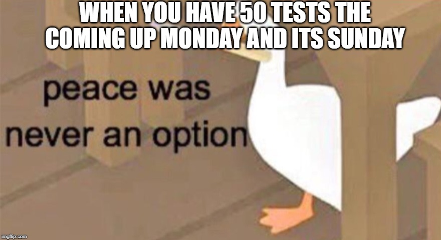 Untitled Goose Peace Was Never an Option | WHEN YOU HAVE 50 TESTS THE COMING UP MONDAY AND ITS SUNDAY | image tagged in untitled goose peace was never an option | made w/ Imgflip meme maker