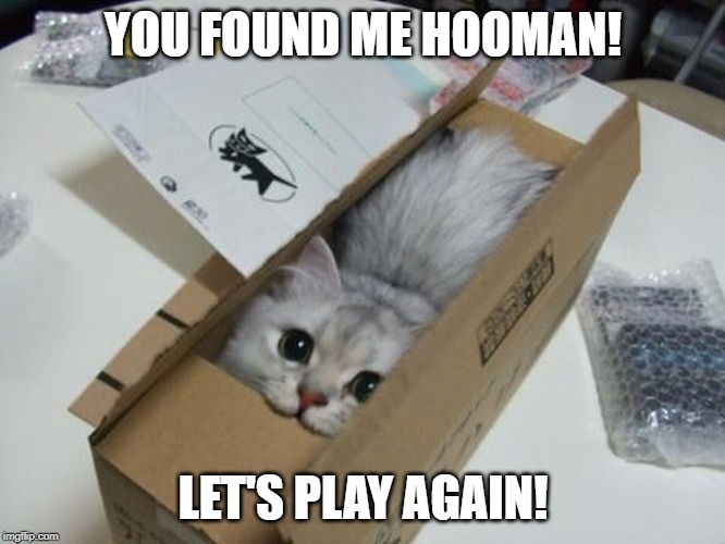 Cute Cat | YOU FOUND ME HOOMAN! LET'S PLAY AGAIN! | image tagged in cute cat | made w/ Imgflip meme maker