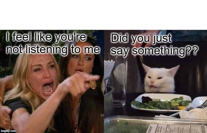 Woman Yelling At Cat Meme | I feel like you're not listening to me; Did you just say something?? | image tagged in memes,woman yelling at cat | made w/ Imgflip meme maker