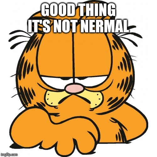 Garfield | GOOD THING IT'S NOT NERMAL | image tagged in garfield | made w/ Imgflip meme maker