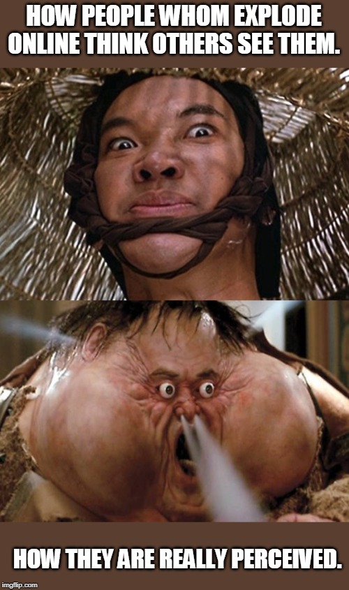 Don't be a reee tard. | HOW PEOPLE WHOM EXPLODE ONLINE THINK OTHERS SEE THEM. HOW THEY ARE REALLY PERCEIVED. | image tagged in big trouble in little china,big trouble | made w/ Imgflip meme maker