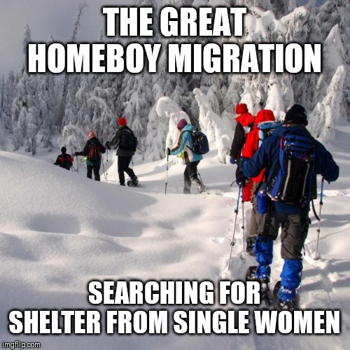 Walking in snow | THE GREAT HOMEBOY MIGRATION; SEARCHING FOR SHELTER FROM SINGLE WOMEN | image tagged in walking in snow | made w/ Imgflip meme maker