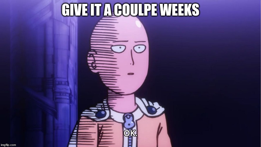 Saitama "OK"  | GIVE IT A COULPE WEEKS | image tagged in saitama ok | made w/ Imgflip meme maker