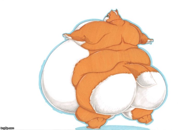 fat fox | image tagged in fat | made w/ Imgflip meme maker