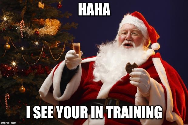 Bad Santa | HAHA I SEE YOUR IN TRAINING | image tagged in bad santa | made w/ Imgflip meme maker