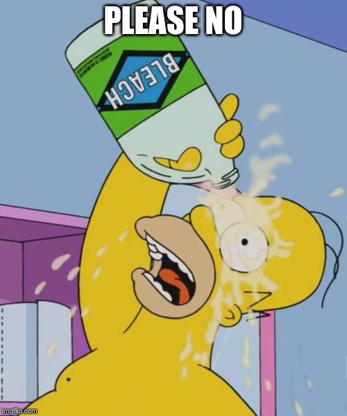 Homer with bleach | PLEASE NO | image tagged in homer with bleach | made w/ Imgflip meme maker