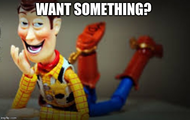 WANT SOMETHING? | image tagged in woody | made w/ Imgflip meme maker