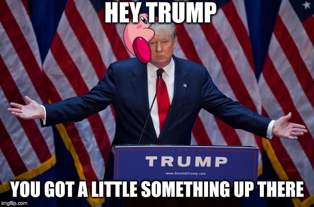 Donald Trump | HEY TRUMP; YOU GOT A LITTLE SOMETHING UP THERE | image tagged in donald trump | made w/ Imgflip meme maker
