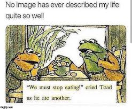 image tagged in memes,funny memes,frog and toad,so true memes | made w/ Imgflip meme maker