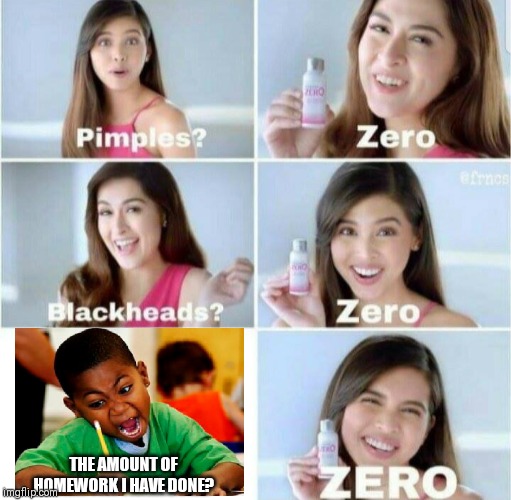 Pimples, Zero! | THE AMOUNT OF HOMEWORK I HAVE DONE? | image tagged in pimples zero | made w/ Imgflip meme maker