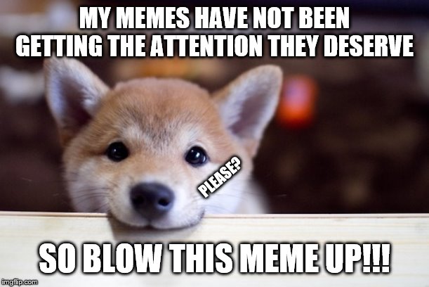 cute dog | MY MEMES HAVE NOT BEEN GETTING THE ATTENTION THEY DESERVE; PLEASE? SO BLOW THIS MEME UP!!! | image tagged in cute dog | made w/ Imgflip meme maker