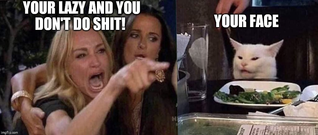 woman yelling at cat | YOUR LAZY AND YOU
DON'T DO SHIT! YOUR FACE | image tagged in woman yelling at cat | made w/ Imgflip meme maker