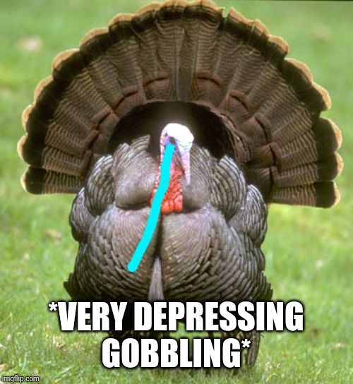 Turkey Meme | *VERY DEPRESSING GOBBLING* | image tagged in memes,turkey | made w/ Imgflip meme maker