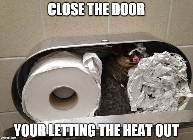 OPOSSUM NOT GONNA LET YA WIPE | CLOSE THE DOOR; YOUR LETTING THE HEAT OUT | image tagged in opossum,toilet paper,memes | made w/ Imgflip meme maker
