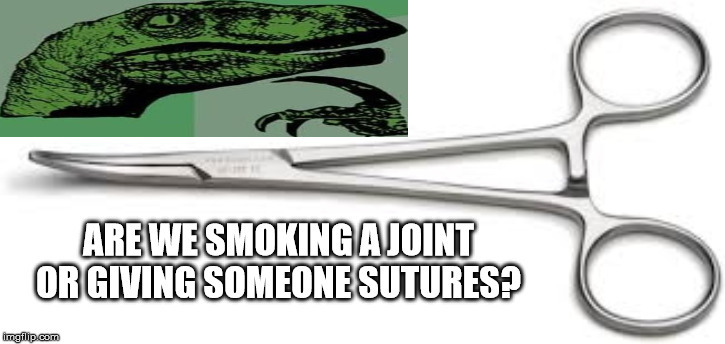 ARE WE SMOKING A JOINT OR GIVING SOMEONE SUTURES? | image tagged in philosoraptor | made w/ Imgflip meme maker