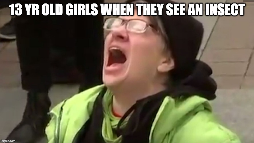Screaming Liberal  | 13 YR OLD GIRLS WHEN THEY SEE AN INSECT | image tagged in screaming liberal | made w/ Imgflip meme maker