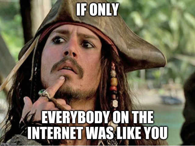 if only I had a VJ | IF ONLY EVERYBODY ON THE INTERNET WAS LIKE YOU | image tagged in if only i had a vj | made w/ Imgflip meme maker