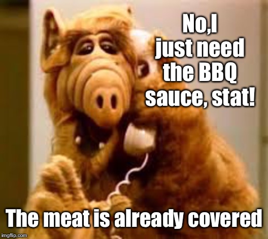 alf | No,I just need the BBQ sauce, stat! The meat is already covered | image tagged in alf | made w/ Imgflip meme maker