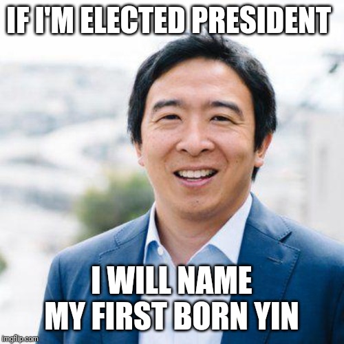 Andrew Yang | IF I'M ELECTED PRESIDENT; I WILL NAME MY FIRST BORN YIN | image tagged in andrew yang | made w/ Imgflip meme maker