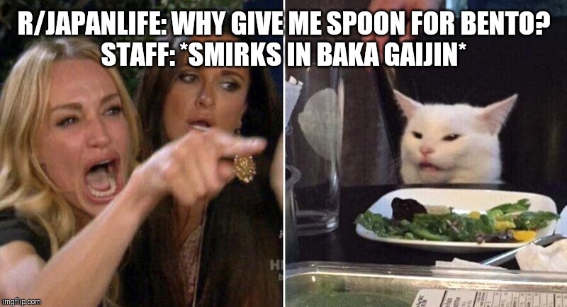 Woman Pointing at Cat | R/JAPANLIFE: WHY GIVE ME SPOON FOR BENTO?
STAFF: *SMIRKS IN BAKA GAIJIN* | image tagged in woman pointing at cat | made w/ Imgflip meme maker