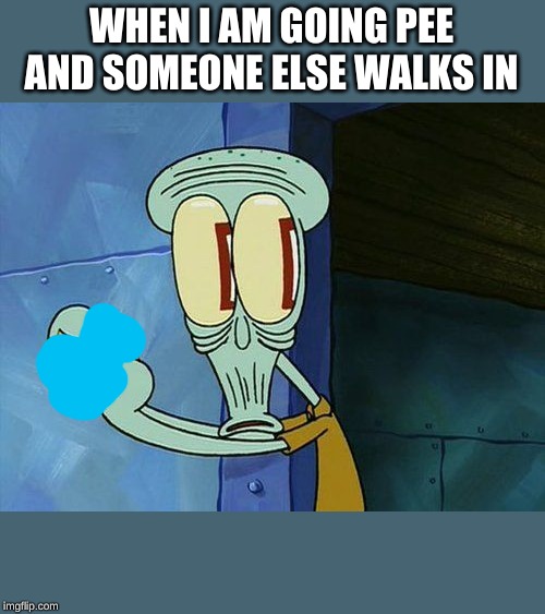 Oh shit Squidward | WHEN I AM GOING PEE AND SOMEONE ELSE WALKS IN | image tagged in oh shit squidward | made w/ Imgflip meme maker