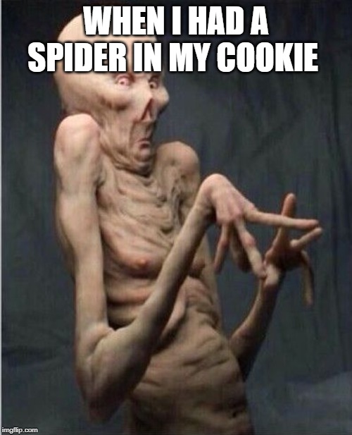 when i find a spider in my cookie. | WHEN I HAD A SPIDER IN MY COOKIE | image tagged in grossed out alien | made w/ Imgflip meme maker