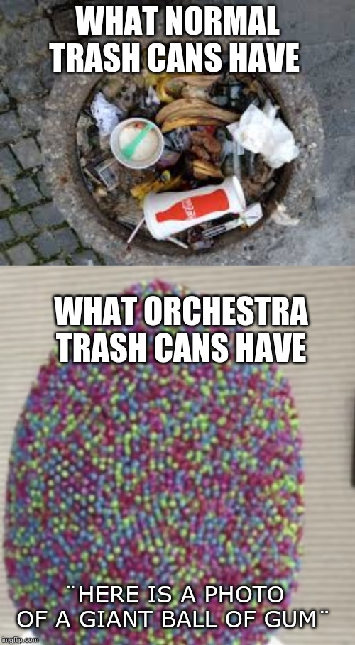 WHAT NORMAL TRASH CANS HAVE; WHAT ORCHESTRA TRASH CANS HAVE; ¨HERE IS A PHOTO OF A GIANT BALL OF GUM¨ | made w/ Imgflip meme maker