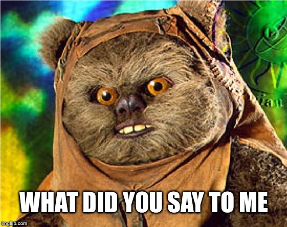 Angry Ewok | WHAT DID YOU SAY TO ME | image tagged in angry ewok | made w/ Imgflip meme maker