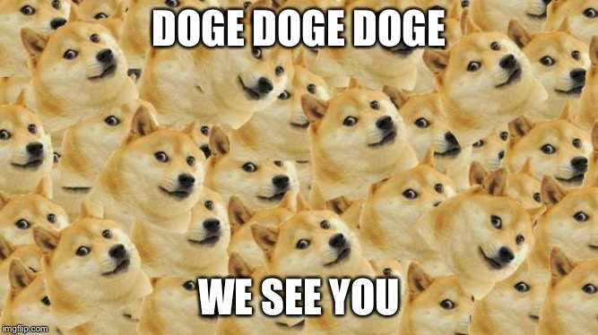 Multi Doge Meme | DOGE DOGE DOGE; WE SEE YOU | image tagged in memes,multi doge | made w/ Imgflip meme maker