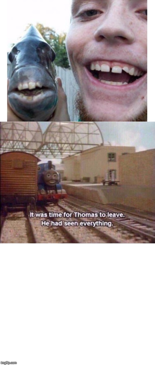 It was time for Thomas to leave, He had seen everything | image tagged in it was time for thomas to leave he had seen everything | made w/ Imgflip meme maker