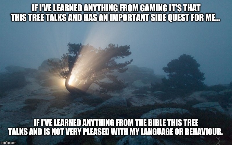 If I've Learned Anything... | IF I'VE LEARNED ANYTHING FROM GAMING IT'S THAT THIS TREE TALKS AND HAS AN IMPORTANT SIDE QUEST FOR ME... IF I'VE LEARNED ANYTHING FROM THE BIBLE THIS TREE TALKS AND IS NOT VERY PLEASED WITH MY LANGUAGE OR BEHAVIOUR. | image tagged in tree,gaming | made w/ Imgflip meme maker