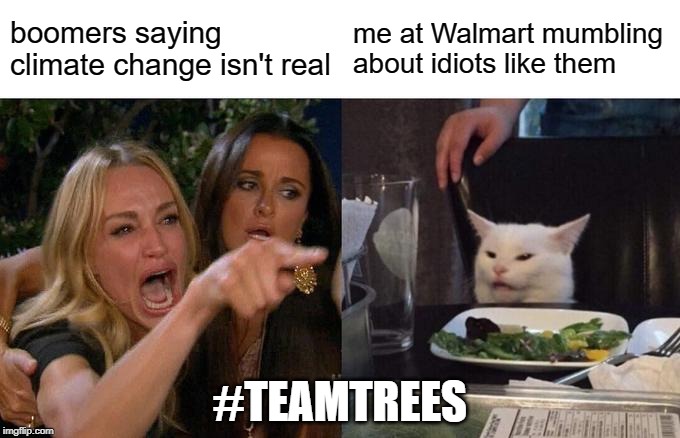 Woman Yelling At Cat Meme | boomers saying climate change isn't real; me at Walmart mumbling about idiots like them; #TEAMTREES | image tagged in memes,woman yelling at cat | made w/ Imgflip meme maker