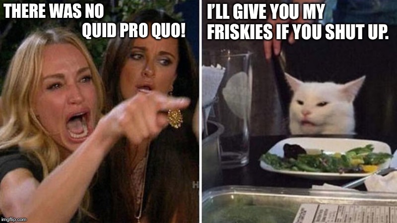 Woman yelling at white cat | THERE WAS NO                                            QUID PRO QUO! I’LL GIVE YOU MY FRISKIES IF YOU SHUT UP. | image tagged in woman yelling at white cat | made w/ Imgflip meme maker
