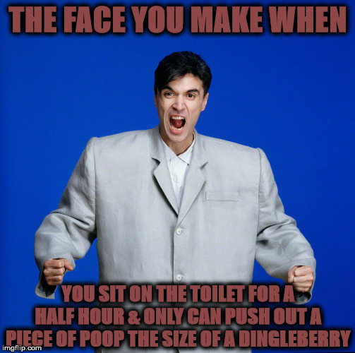FACE YOU MAKE | THE FACE YOU MAKE WHEN; YOU SIT ON THE TOILET FOR A HALF HOUR & ONLY CAN PUSH OUT A PIECE OF POOP THE SIZE OF A DINGLEBERRY | image tagged in face you make | made w/ Imgflip meme maker
