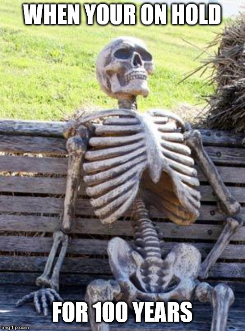 Waiting Skeleton | WHEN YOUR ON HOLD; FOR 100 YEARS | image tagged in memes,waiting skeleton | made w/ Imgflip meme maker