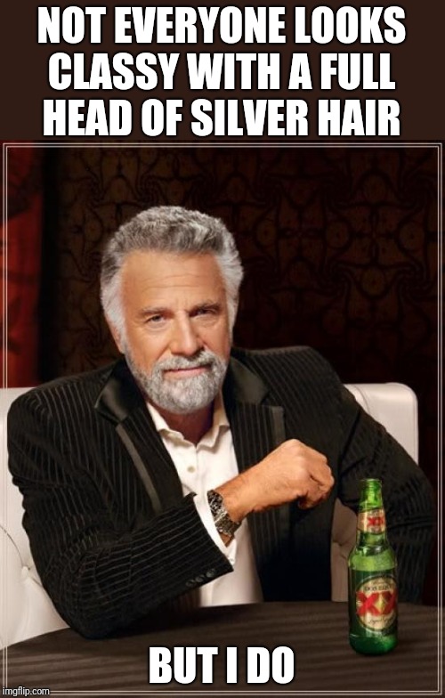 The Most Interesting Man In The World Meme | NOT EVERYONE LOOKS CLASSY WITH A FULL HEAD OF SILVER HAIR BUT I DO | image tagged in memes,the most interesting man in the world | made w/ Imgflip meme maker