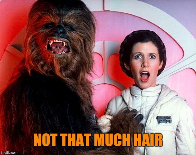 Princess Lea Chewbacca | NOT THAT MUCH HAIR | image tagged in princess lea chewbacca | made w/ Imgflip meme maker
