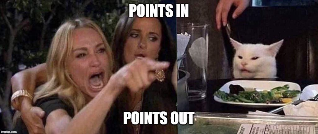 woman yelling at cat | POINTS IN; POINTS OUT | image tagged in woman yelling at cat | made w/ Imgflip meme maker